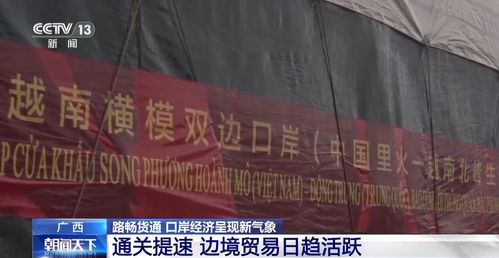 15秒通关！榴莲快速入境折射口岸经济新活力，国内贸易代理迎机遇